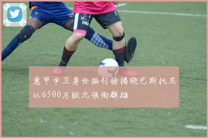 意甲中卫身价排行榜揭晓巴斯托尼以6500万欧元领衔群雄