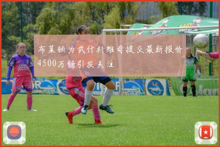 布莱顿为武什科维奇提交最新报价4500万镑引发关注